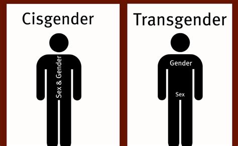 stand by your trans supporting a partner in transition what is cisgender privilege