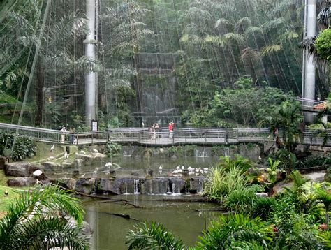 filekuala lumpur bird park insidejpg wikimedia commons