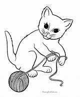 Coloring Cat Kitten Pages Library Clipart Playing sketch template