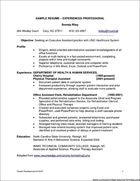 sample resume format  experienced  professionals  samples