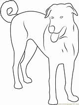Dog Anatolian Coloring Pages Coloringpages101 Eating sketch template