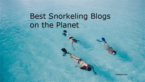 top  snorkeling blogs  websites  follow