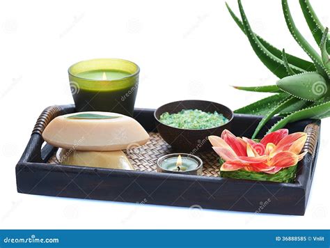 aloe spa stock image image  aromatherapy leaf beauty