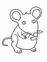 Rato Pintar Ratos Ratona Ratones Rats Cuento Cuentos Hea Infantiles Gaddynippercrayons sketch template