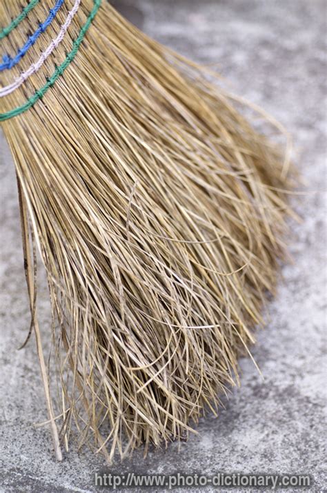 broom bristles photopicture definition  photo dictionary broom