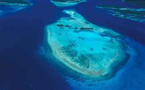 aerial photography coral reef research foundation