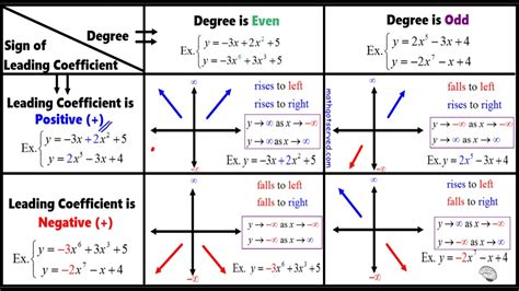 find   behavior model  polynomial functions rise