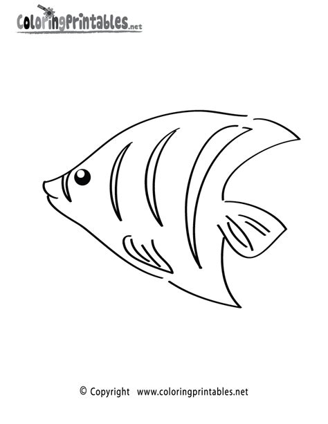 tropical fish coloring   designlooter