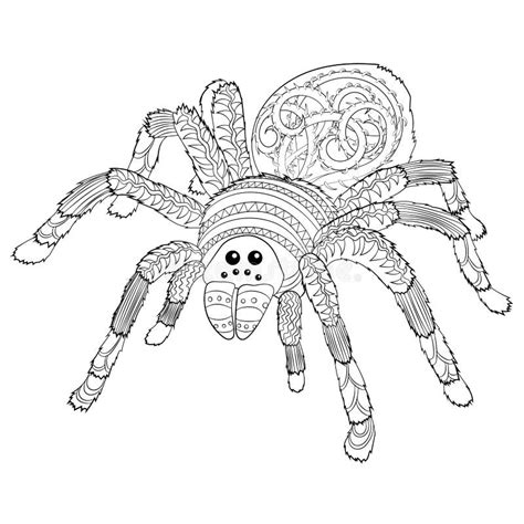 spider coloring   halloween spider coloring pages printable