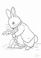 Bunny Knuffle Coloring Pages Getcolorings Getdrawings sketch template