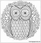 Pages Nature Mandala Owl Coloring sketch template