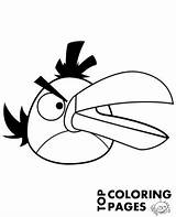 Birds Topcoloringpages sketch template