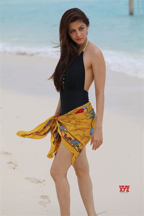 actress vedhika hot and sexy still social news xyz