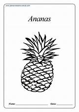 Colorat Fructe Planse Desene Fise Zmeura Imagini Ananas sketch template
