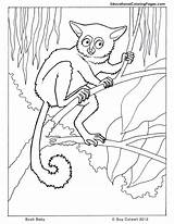 Coloring Pages Baby Bush Animal Book Animals Kids Cute Trees Colouringpages Printable Au Color Print Jungle Sheets Three Worksheets Tree sketch template