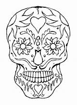 Coloring Pages Skull Anatomy Roses Skulls Getcolorings Printable Bones Getdrawings sketch template
