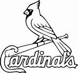 Cardinals Stl Cardinal Dxf 49ers Cricut Clipartmag sketch template