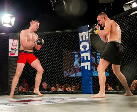 mma cage fighting norwich  fight  rozenekcom