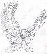 Eagle Coloring Bald Pages Color Kids Drawing Realistic Soaring Printable Flying Template Mandala Adults Head Eagles Line Harpy Sketch Colouring sketch template