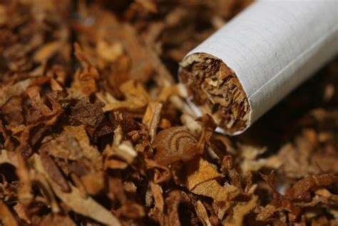 batsa continues legal fight  lift tobacco ban moneyweb