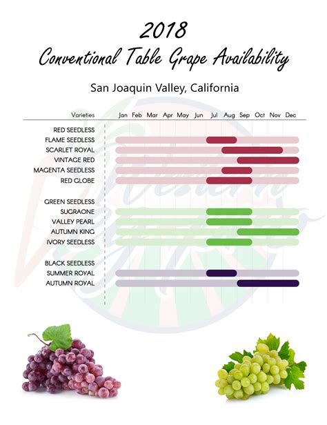 table grapes western veg pro  fruit vegetable growers shippers