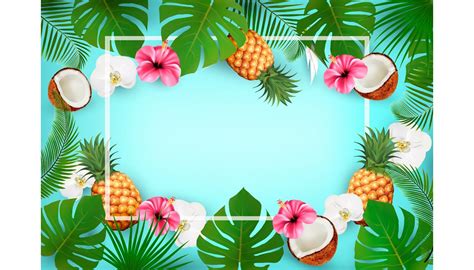 summer tropical background vector pre designed