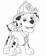 Paw Patrol Coloring Marshall Pages Drawing Colouring Printable Sheets Draw Print Sky Color Birthday Sheet Colorare Da Firetruck Template Pdf sketch template