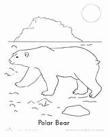 Tundra Coloring Pages Animals Color Getcolorings Arctic Getdrawings sketch template