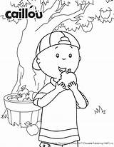 Caillou Coloring Apple Picking Sheet Fun Pages Printables Fall Older Tree Printable Activities sketch template