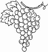 Grapes Coloring Pages Printable Kids sketch template