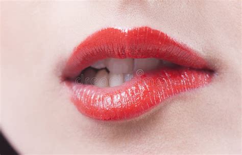 Red Lips Biting Stock Image Image Of Purple Fashion 30152269