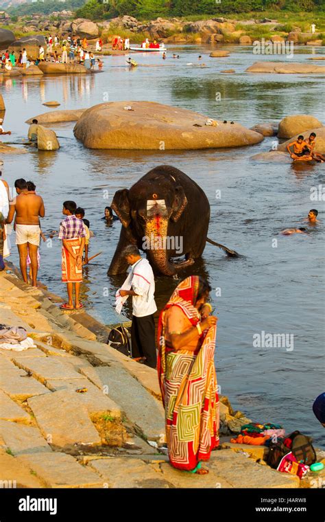 Indian People And Elephant Laxmi Bathing On The Tungabhadra River