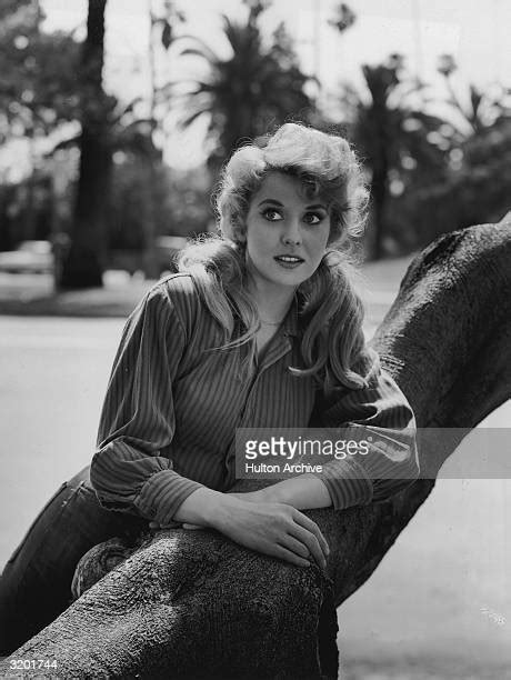 Porn Nude Pictures Of Donna Douglas