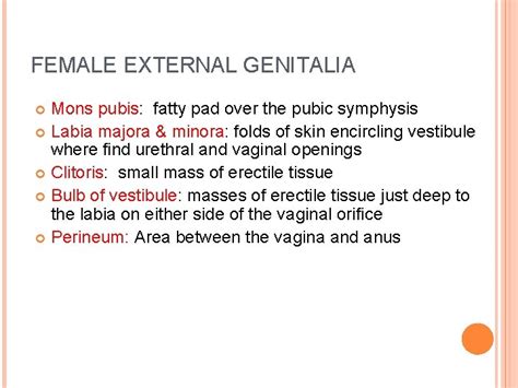 The Female Reproductive System Exercise 31 Ap 233
