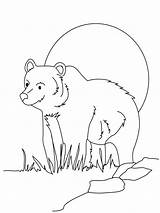 Bear Coloring Pages Kids Printable Realistic Grizzly sketch template