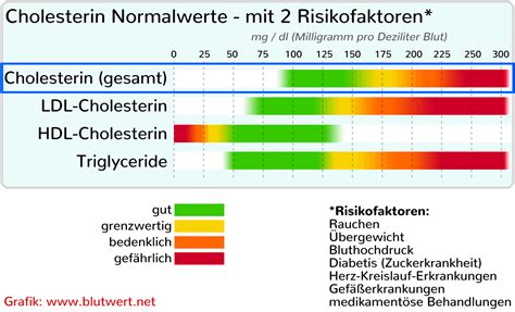cholesterin normalwerte tabelle