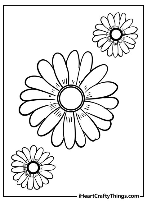 daisy flower printable coloring pages  flower site