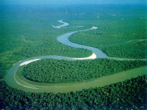 interesting amazon river facts daily world facts