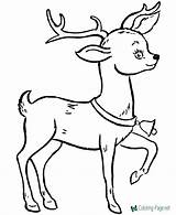 Reindeer Coloring Pages Santa sketch template