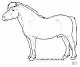 Shetland Pages Supercoloring Ponies Ausmalbild Ausmalbilder Colorare Pferde Tekeningen Getcolorings Paard Paarden Sheepdog Tekening Lineart Miniture sketch template