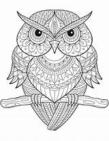 Coloring Pages Owl Adults sketch template