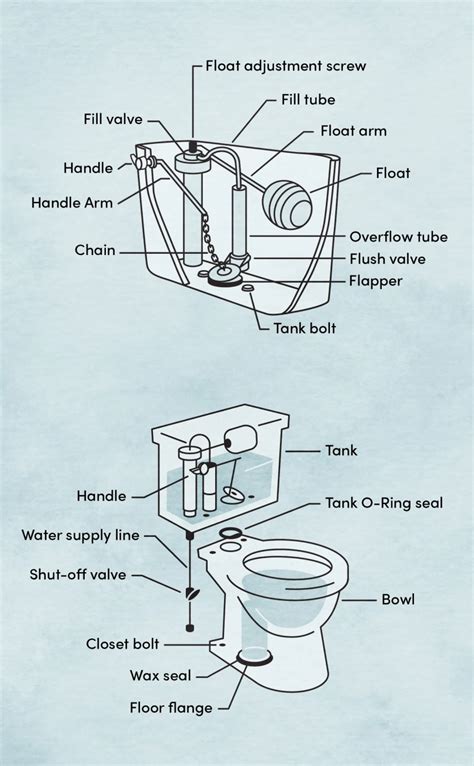toilet flush valve parts diagram reviewmotorsco