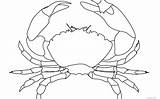 Crab Coloring Pages Drawing Outline Printable Blue Template Crabs Public Domain sketch template