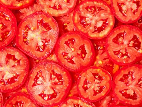 tomato slice propagation   start plants  tomato slices