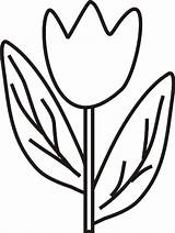 Tulip Coloring Pages Kids Color Print Colouring Tulipe Printable Popular Coloringhome Books Comments sketch template