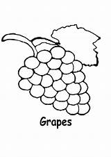 Coloring Grapes Grape Uva Vineyard sketch template