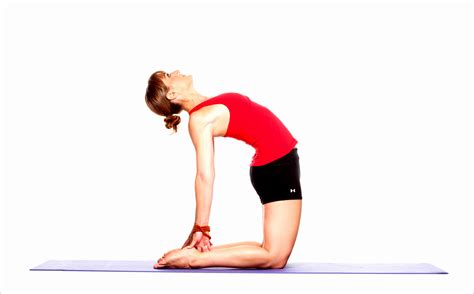 camel pose yoga work  picture media work  picture media