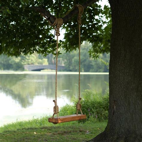 Joyous Swing Surrounded By Nature