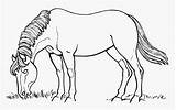 Horse Eating Pngitem sketch template