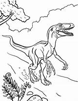 Coloring Velociraptor Pages Printable Dinosaur Kids Bestcoloringpagesforkids Animal Print Coloringcafe Sheets Pdf Visit Designlooter Choose Board sketch template